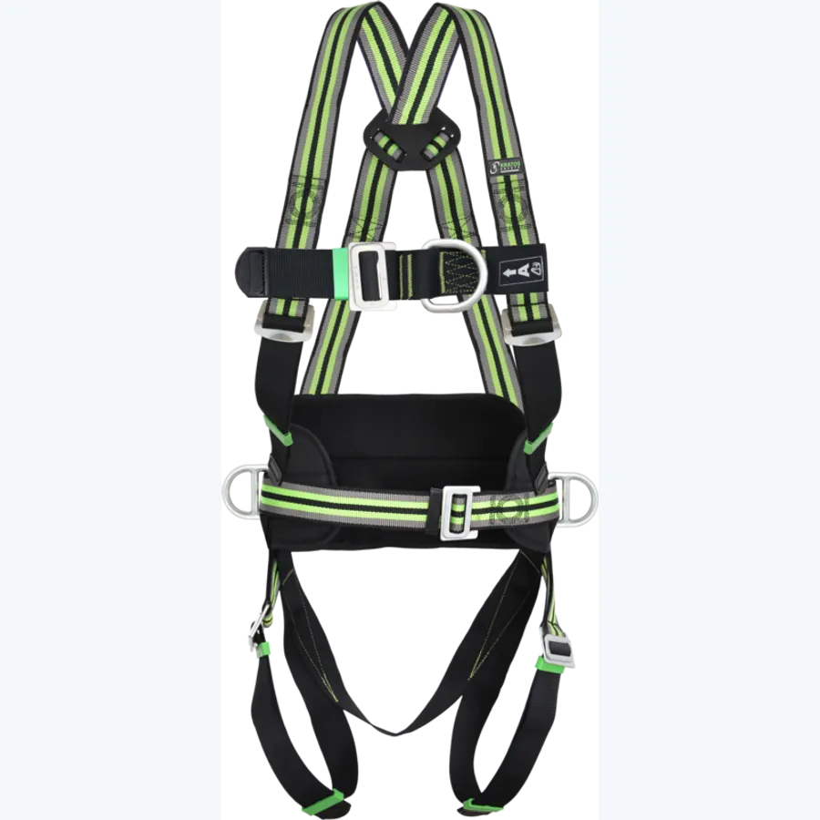 MUNE 5 - Body harness 2 attachment points with belt