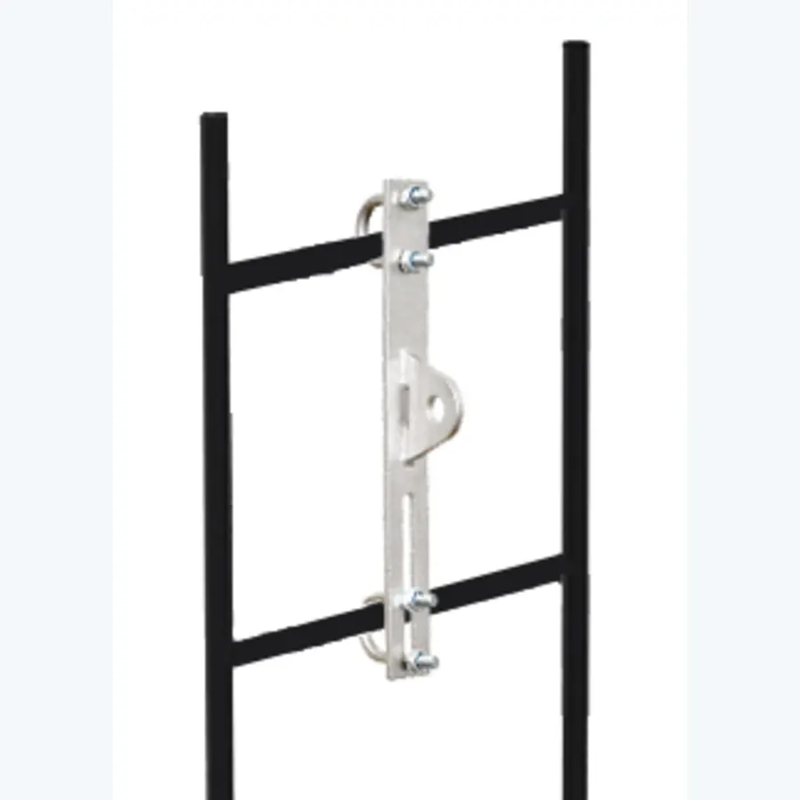 Extremity plate for two ladder rungs