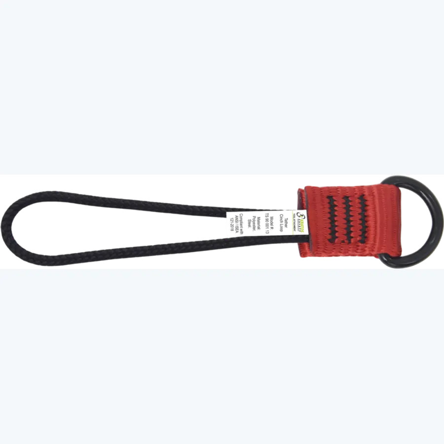 Tool-holding D-ring on webbing with integrated hanging loop